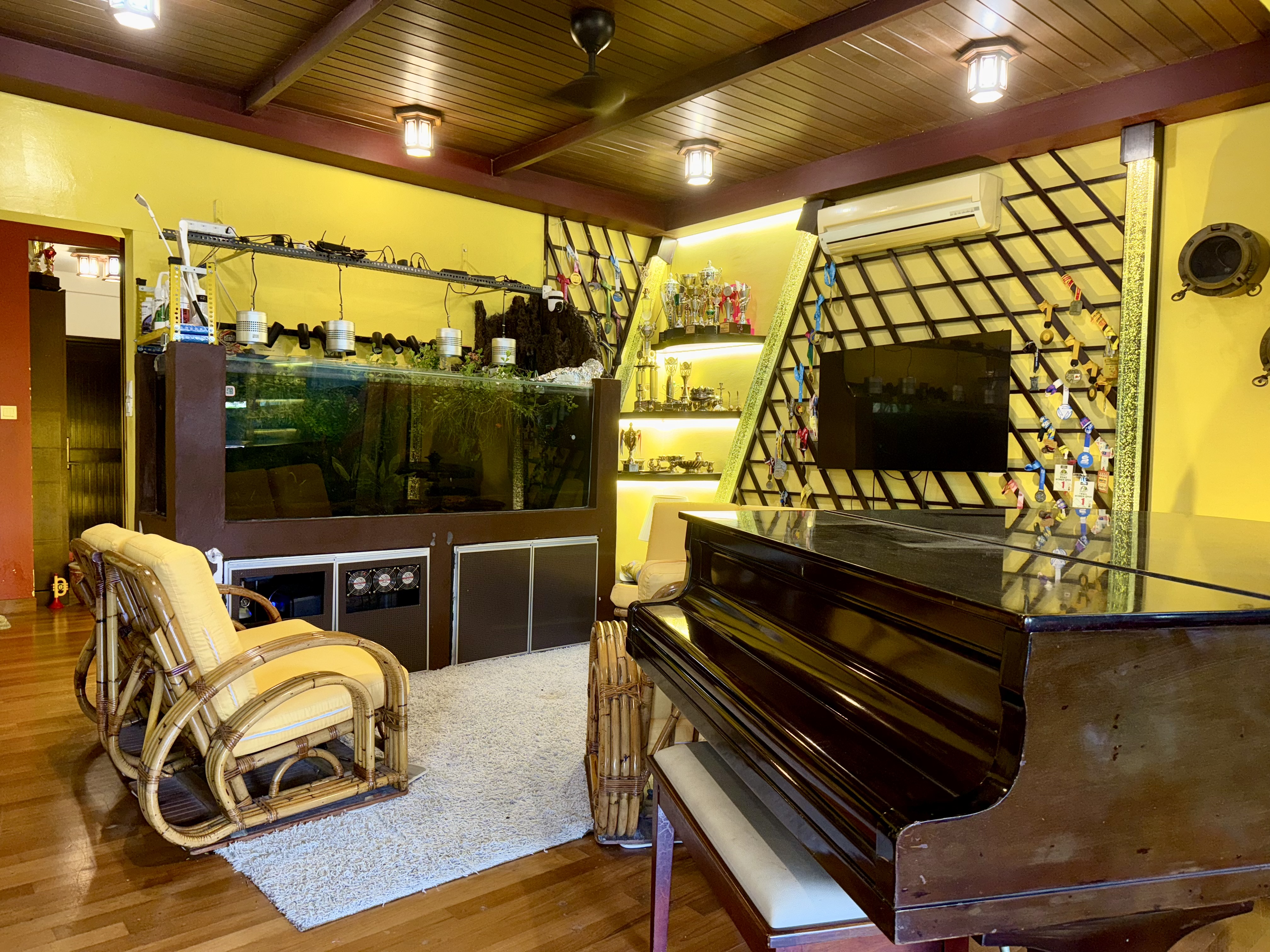 Living Room Piano